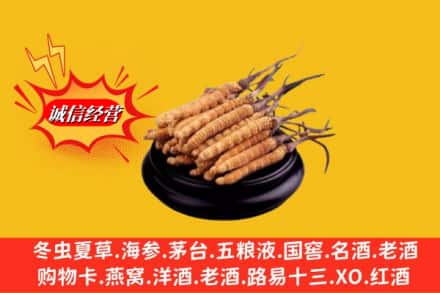 横山区求购回收虫草多少钱每克